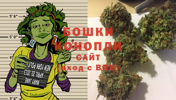 гидра Алексеевка