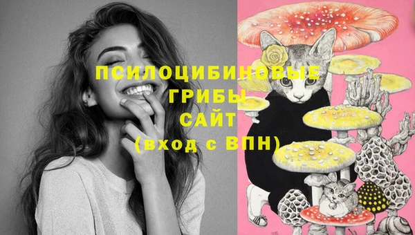 гидра Алексеевка