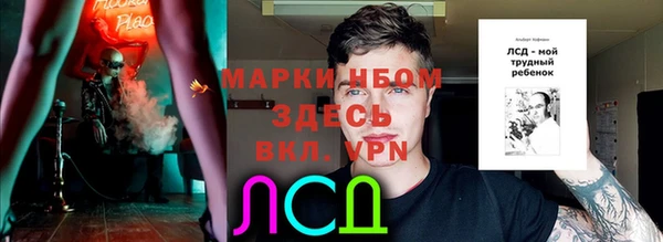 мдпв Абаза