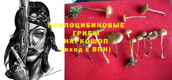 индика Алексин