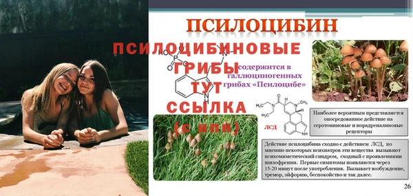 таблы Инсар