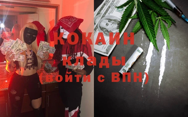 индика Алексин