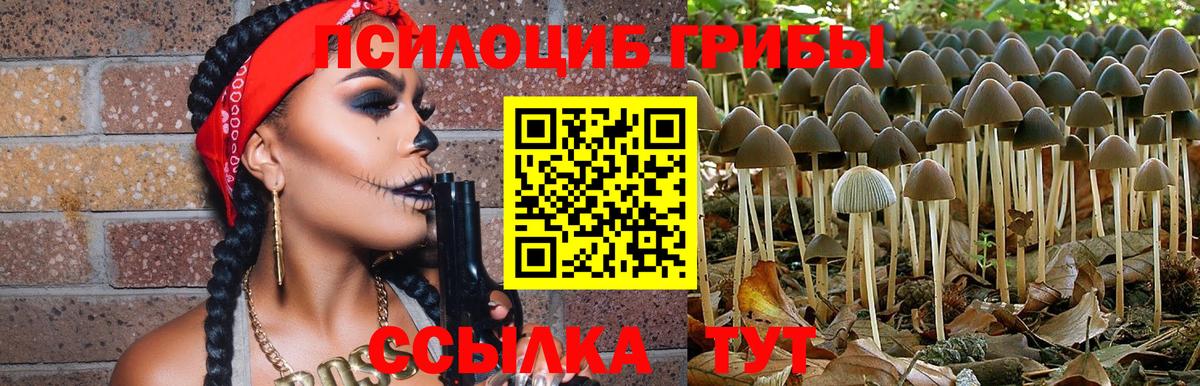 Галлюциногенные грибы Magic Shrooms Шадринск