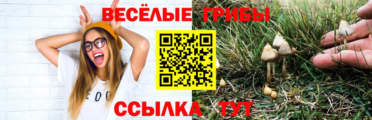 Псилоцибиновые грибы MAGIC MUSHROOMS  Вход с VPN  Шадринск 